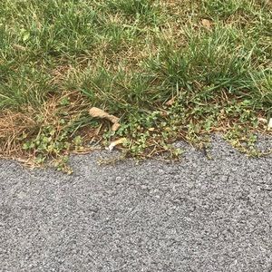 Meet your Posher, Marissa